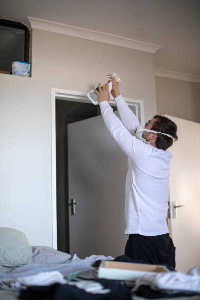 Best Black Mold Removal  in Pinehurst, MA