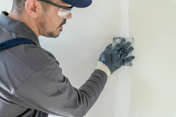 Best Mold Documentation for Insurance Claims  in Pinehurst, MA